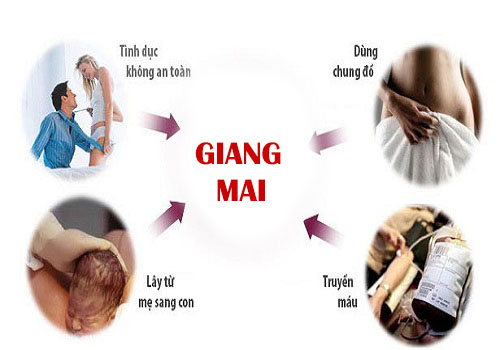 Bệnh giang mai lây nhiễm qua nhiều con đường khác nhau